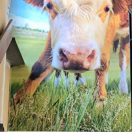 Apartment Heimatliebe 20 Min Zum Europa-park *