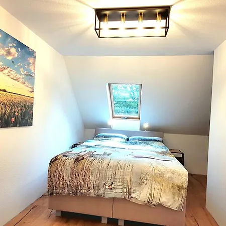 Heimatliebe 20 Min Zum Europa-park Apartment